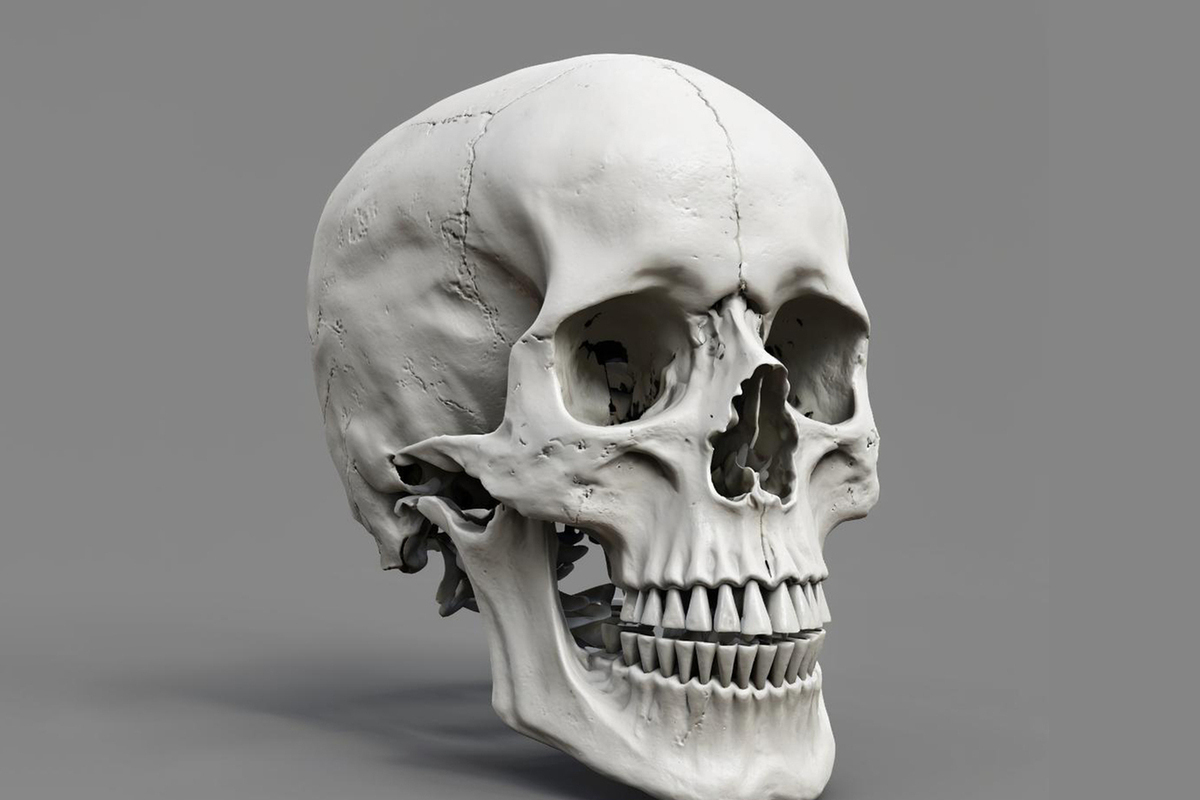 «Составьте план ухода из жизни»: эксперт рассказал как преодолеть страх смерти