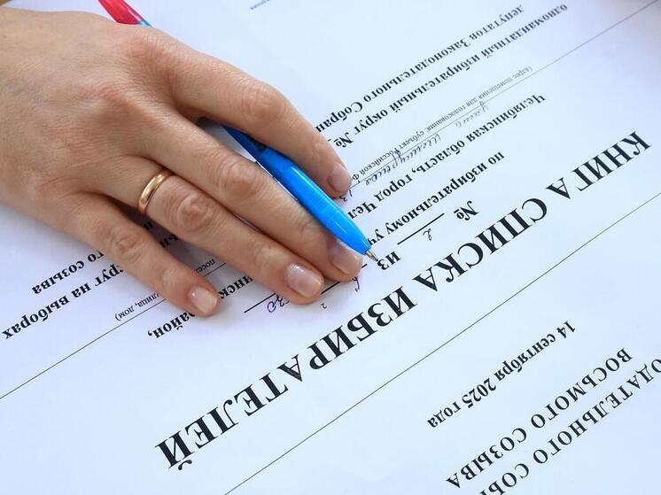 С момента выборов депутатов Законодательного Собрания Челябинской области нового созыва и представителей местного самоуправления прошла неделя