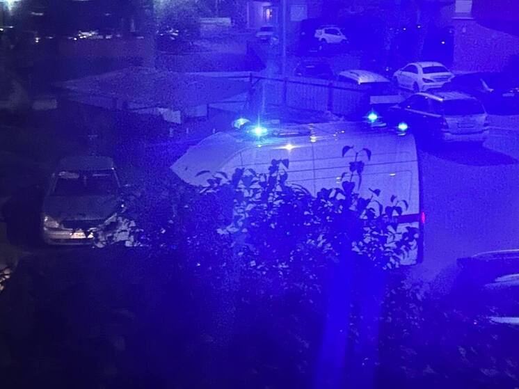 В Ленобласти скорая за неделю обслужила 2567 сердечников и приняла роды дома
