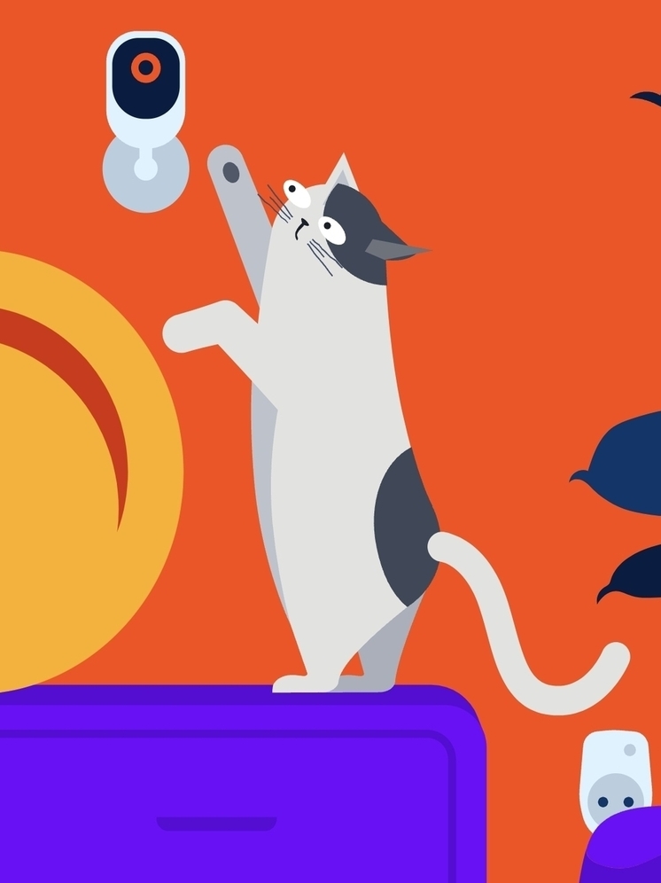 Wink, облачное видеонаблюдение и таксофоны