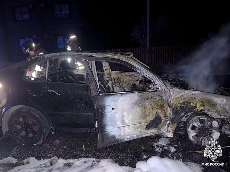 Запорожские пожарные оперативно ликвидировали возгорание автомобиля в Бердянске