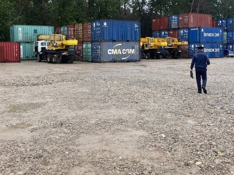 Более 100 незаконных контейнерных площадок обнаружили в Подмосковье