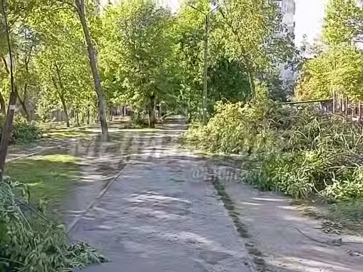 В Мелитополе благоустроят сквер на Ярослава Мудрого