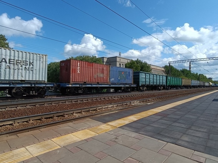 Погиб мужчина, переходивший железнодорожные пути в Кургане