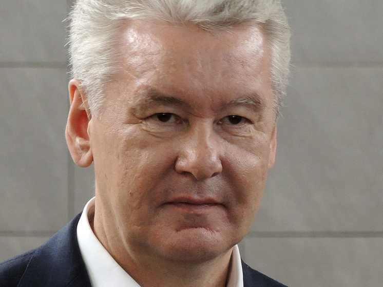 Собянин: уничтожены еще два беспилотника, летевших к Москве