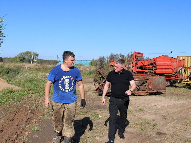 В Духовщинском районе местные фермеры активно убирают урожай