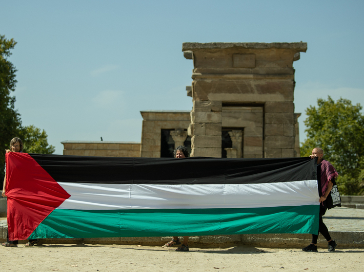 Замглавы МИД Вершинин: Россия признала Палестину, не дожидаясь гибели десятков тысяч людей