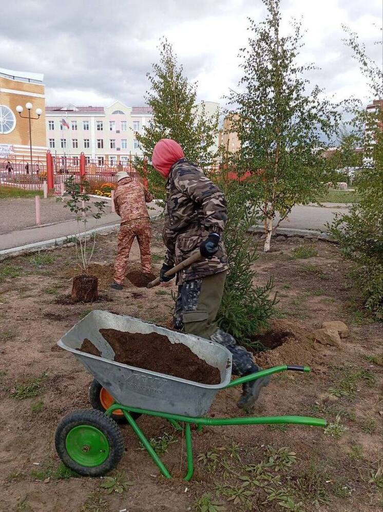 В Улан-Удэ этой осенью высадили более 1,5 тысячи деревьев и кустарников