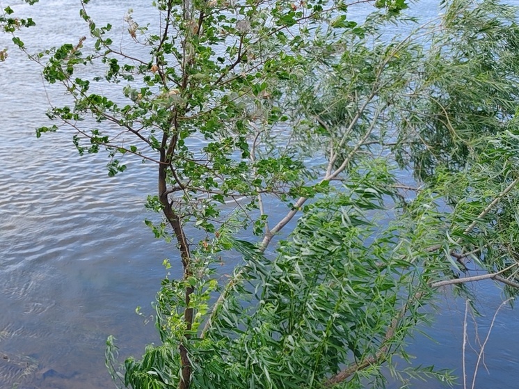 В Бурятии начато расследование гибели водителя при форсировании реки на севере республики