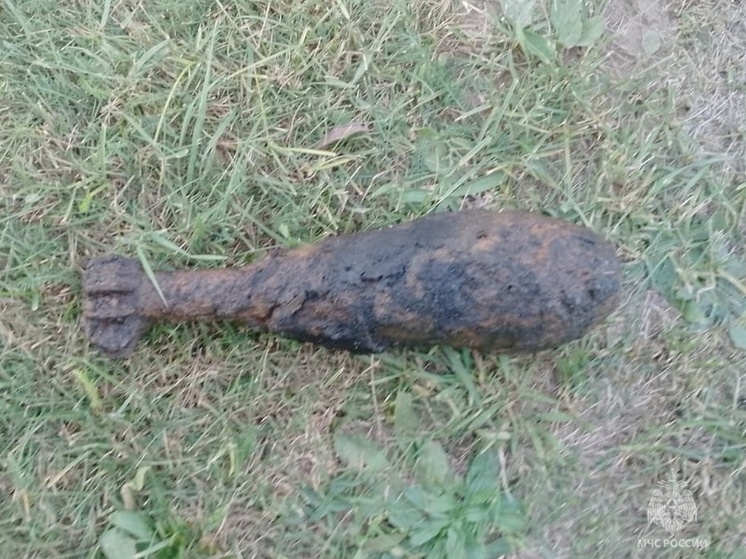 Вблизи людиновской деревни нашли мину