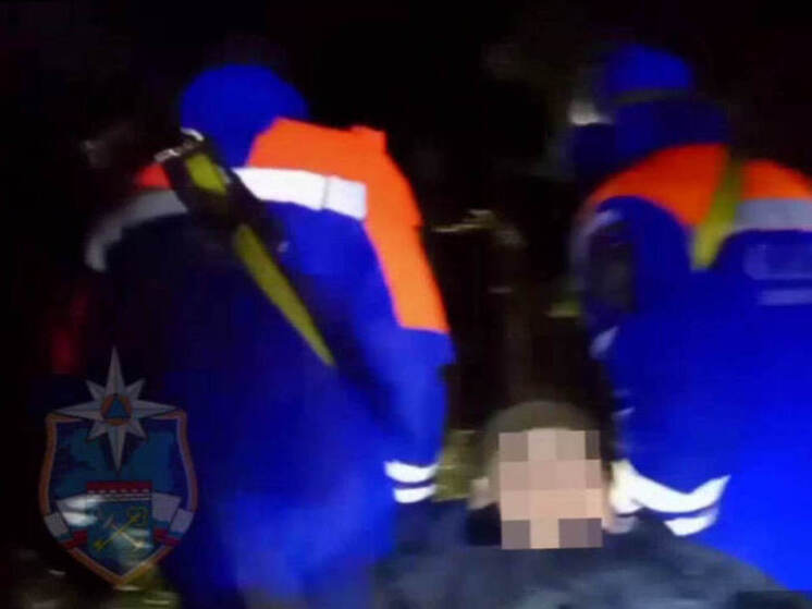 В Лужском районе спасатели вывели из леса заблудившегося мужчину
