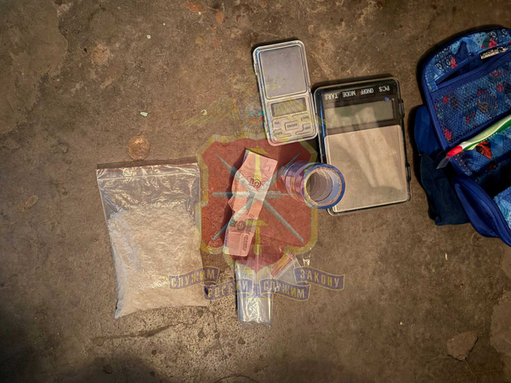 В Туле полиция поймала в Заречье закладчика с 214 граммами мефедрона