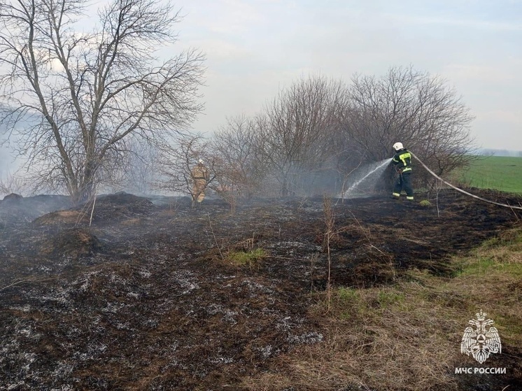 В ЛНР для спасателей продолжается горячая пора сухотравных пожаров