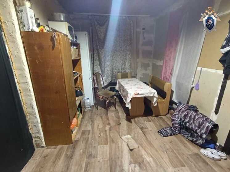 Астраханка зарезала сожителя во время пьяной ссоры