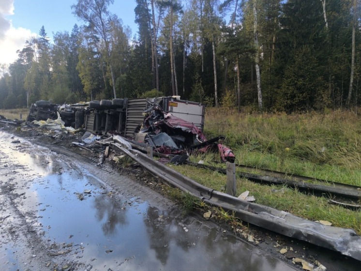 Во Владимирской области за неделю произошло 284 автоаварии