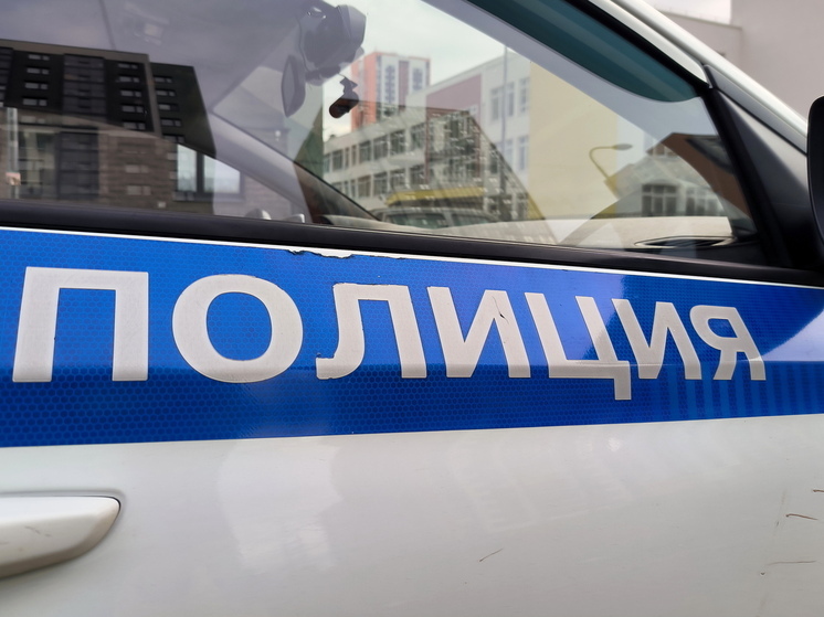 Раскрыта кража вещей из оставленного в холле чемодана