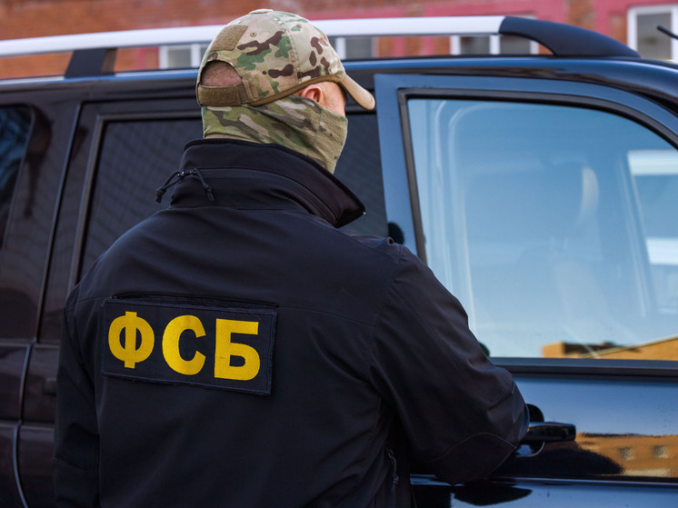 В Челябинской области задержан сторонник экстремистов
