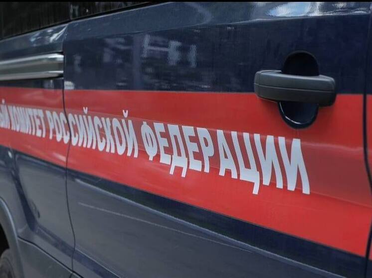 В Туле 40-летней мужчина погиб после падения с дерева, которое пилил