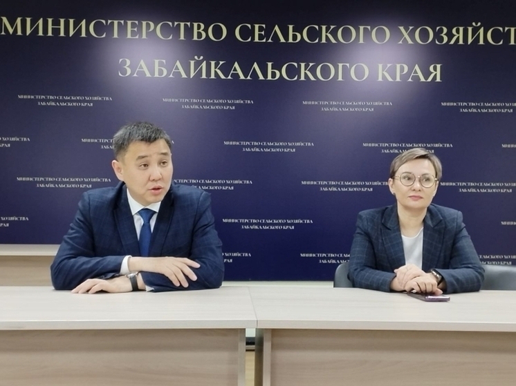 Новый руководитель Минсельхоза Забайкалья рассказала о предстоящей работе