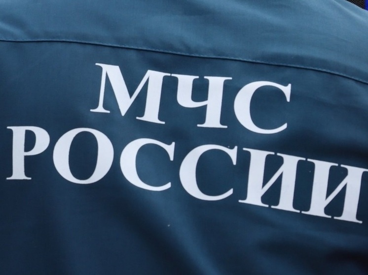 В Саткинском округе во время выборов спасли человека