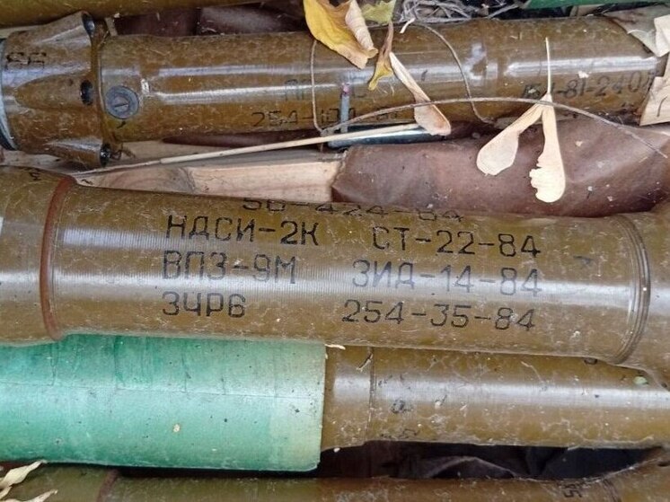 В Васильевском округе Запорожья найден крупный схрон боеприпасов