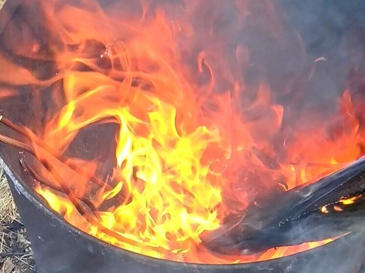 10 пожаров за сутки возникло в Пензенской области