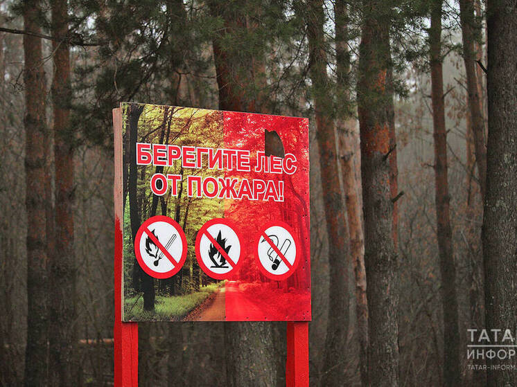 Стало известно о завершении пожароопасного сезона в Татарстане