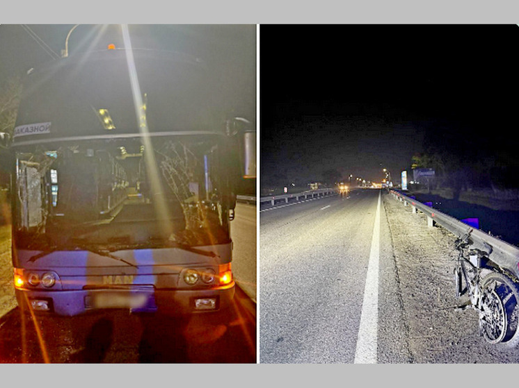 Автобус сбил велосипедиста под Воронежем