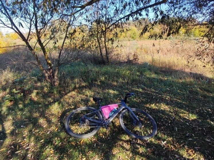 Тишковец: старое бабье лето придёт в конце сентября в Центральную Россию