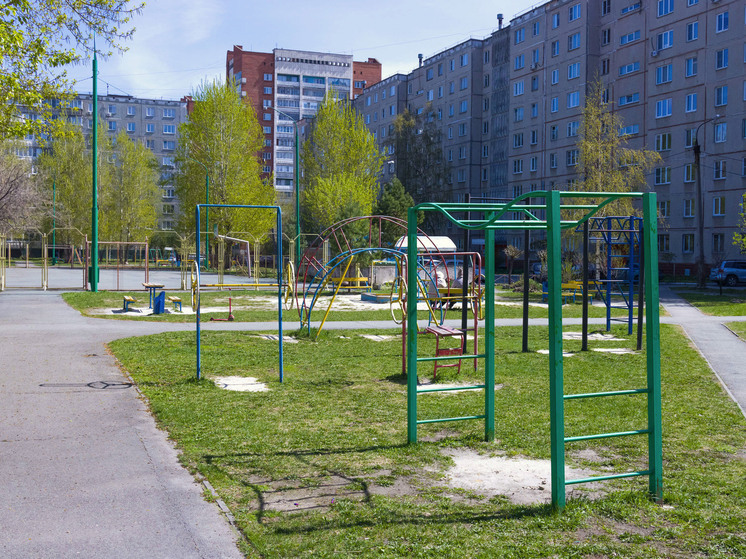 В Челябинске подросток выстрелил в парня постарше из ракетницы