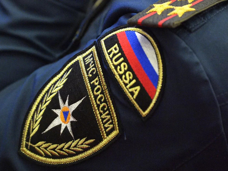 Шесть пастухов с овцами пропали в Дагестане
