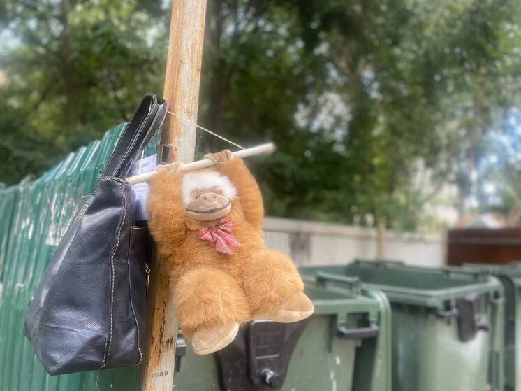 Госжилинспекция выявила нарушения во дворах в Московском районе Рязани