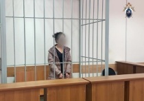 В Свердловский областной суд направлено уголовное дело для применения принудительной меры медицинского характера в отношении женщины, которую обвиняют в совершении разбойного нападения и убийстве 13-летней девочки в Первоуральске