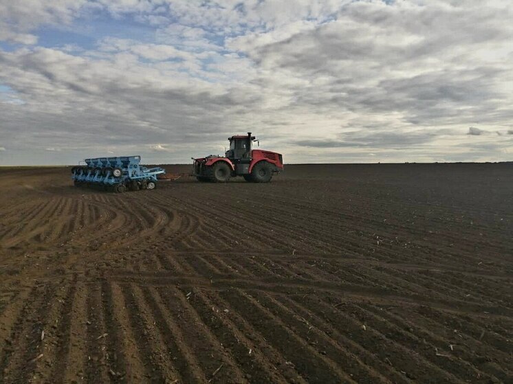 Интеграция ЛНР в состав РФ позволяет перейти к развитию сельских территорий — Минсельхоз