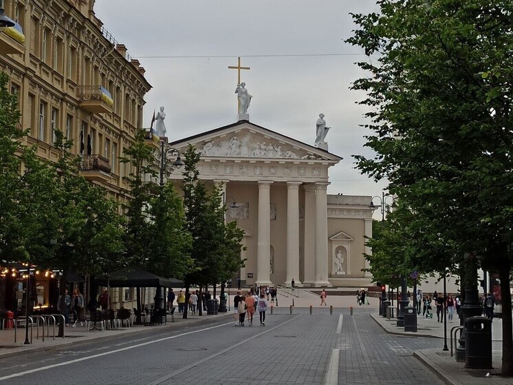 Глава МИД Литвы Будрис пожаловался на большие дыры в обороне Евросоюза