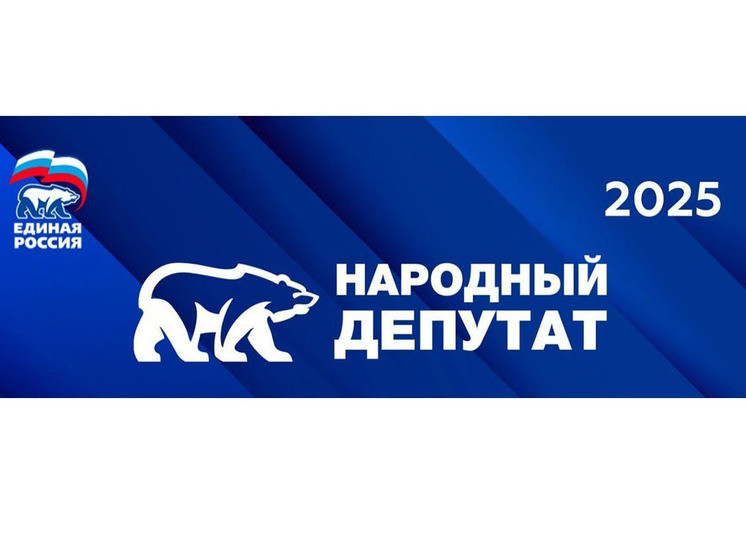 В Пензенской области стартовало голосование за лучшие практики муниципальных депутатов