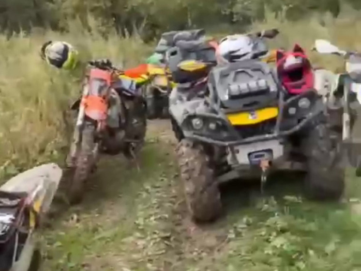 Ловушки для мотоциклистов: в Солнечногорске задержан мужчина, разбрасывавший арматуру по лесным тропам