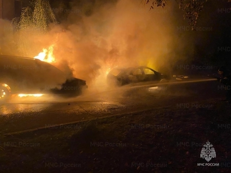 В Орле на улице Раздольной ночью вспыхнули 2 автомобиля