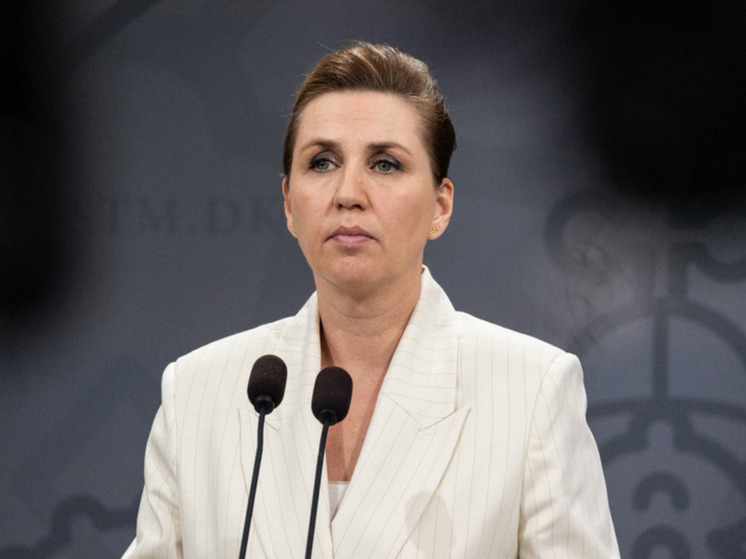 Фази раскритиковал Фредериксен за обвинения в адрес РФ из-за инцидента с БПЛА