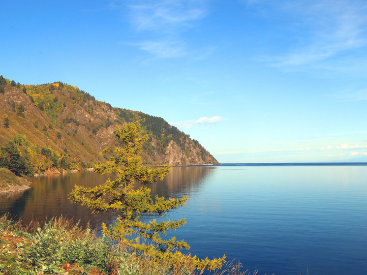 В Госдуме лежит законопроект, способный уничтожить уникальную экосистему Байкала