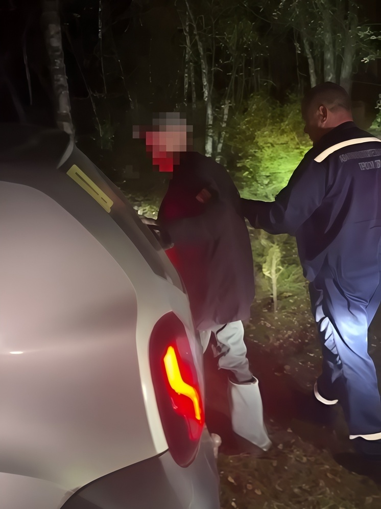 Вечером в лесу под Тверью искали заблудившегося дедушку