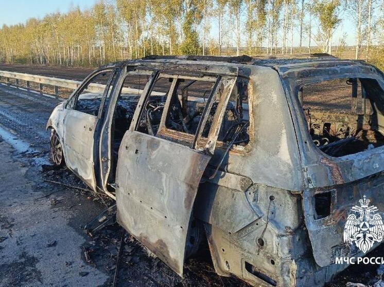 В Александро-Невском районе легковушка сгорела дотла на дороге