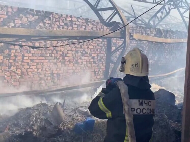 В Курске сгорел склад с зерном и продовольственными товарами