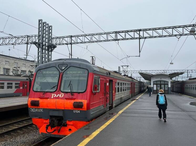 Электрички включат в систему общественного транспорта Петербурга