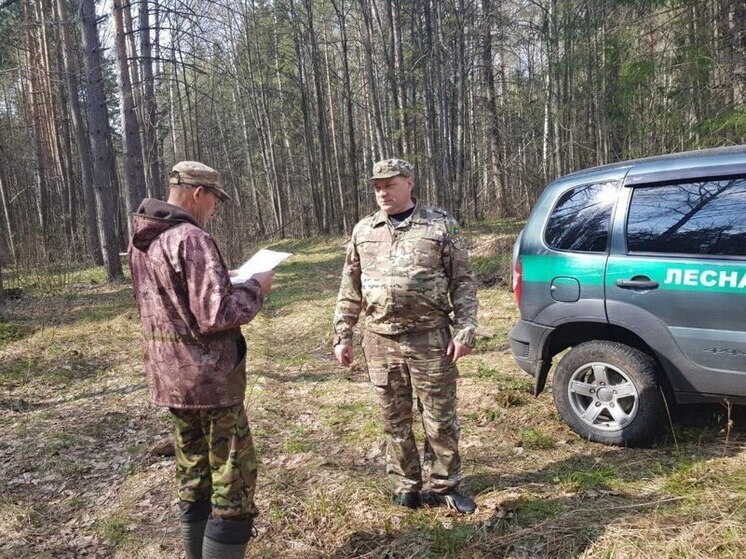 В Чувашии на треть снизилось число нарушений противопожарного режима в лесах
