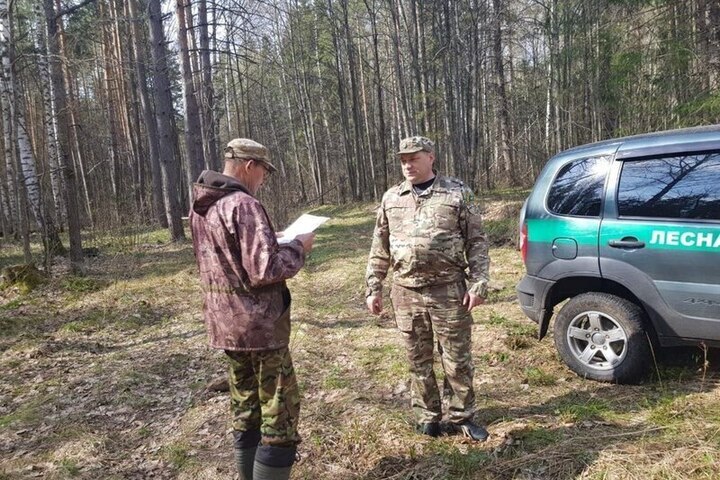 В Чувашии на треть снизилось число нарушений противопожарного режима в лесах