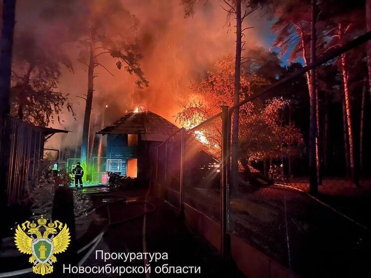 Пожар в Новосибирском зоопарке: 24 животных спасены, пять погибли