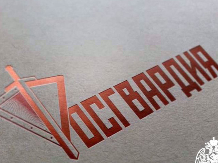 В Курской области росгвардейцы изъяли 7 единиц оружия