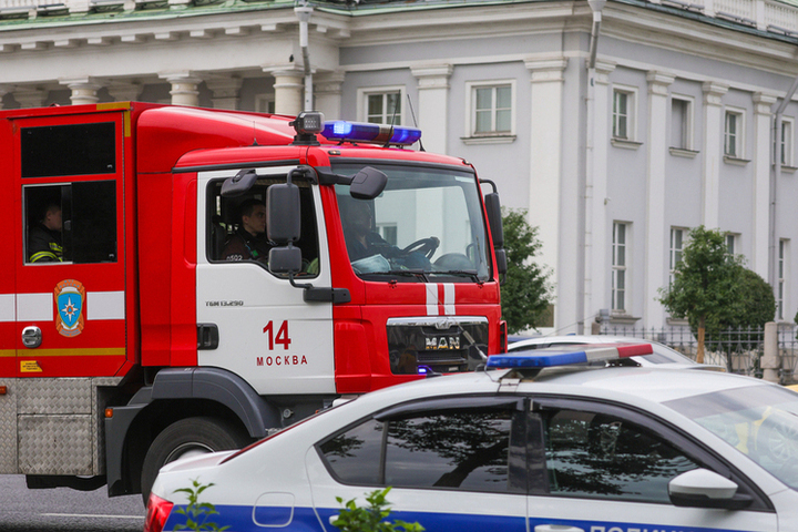 Стали известны последствия пожара в новосибирском зоопарке