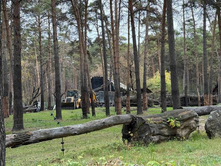  Опубликованы кадры последствий пожара в Новосибирском зоопарке